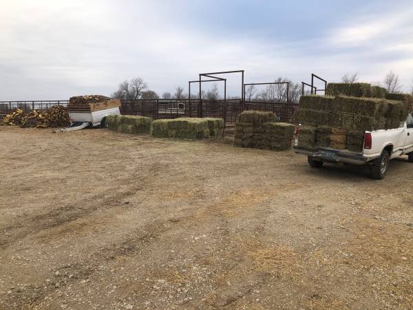 Hay Auction Saturday