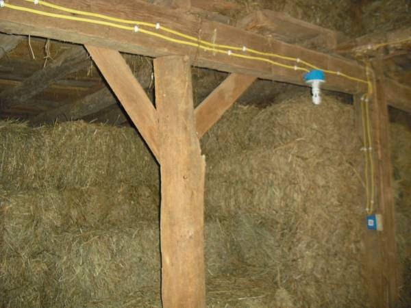 Hay for sale-Square bales