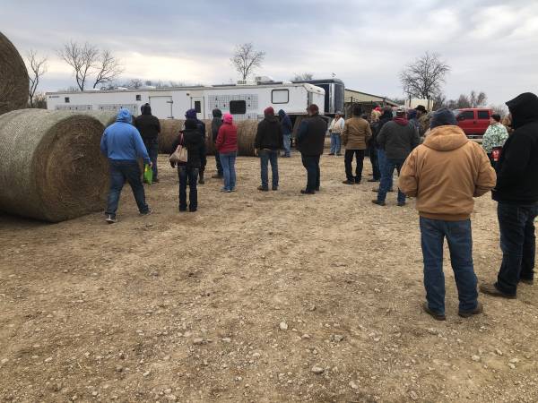 Hay Auction Saturday