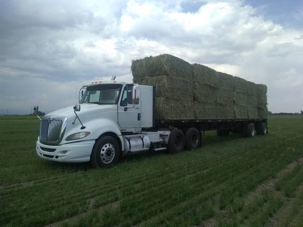 quality barn stored grass hay