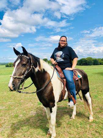 Registered Missouri Foxtrotter