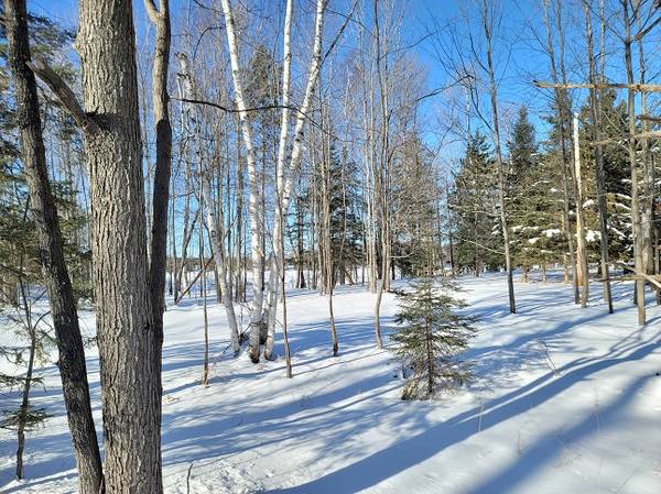 Lakefront Getaway near Rhinelander, WI