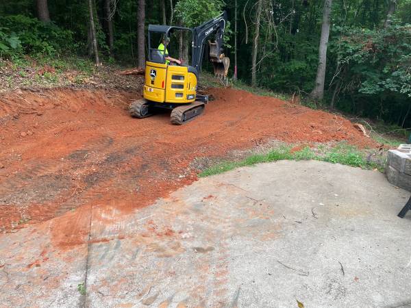 Mini Excavator work/ Clean up/tree trimming and removal