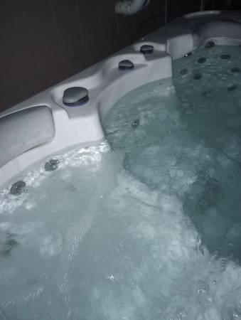 vacation/ residential cleanings/ hot tub treatment & dumping