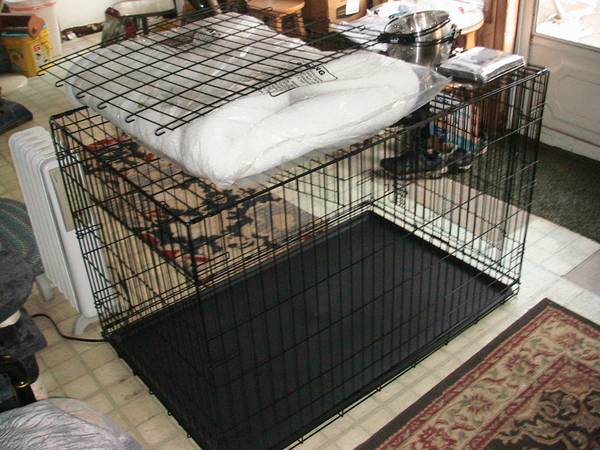 Midwest Home For Pets XL Dog Crate/Cage Starter Kit, NEW!