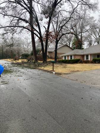 Storm Debris Removal