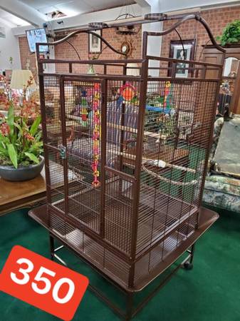 parrot cages