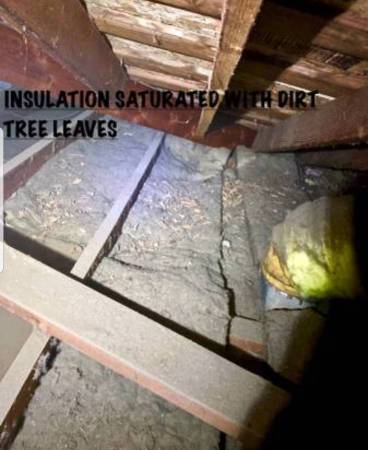 ATTIC INSULATION INSTALL & OTHER INSULATION INSTALL SERVICES????