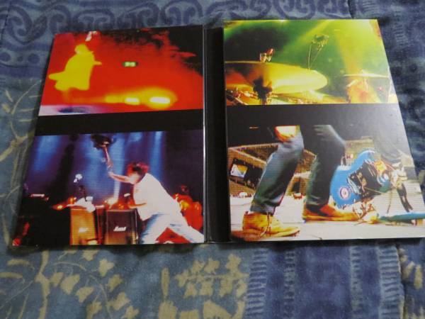 Pearl Jam Live At The Garden DVD