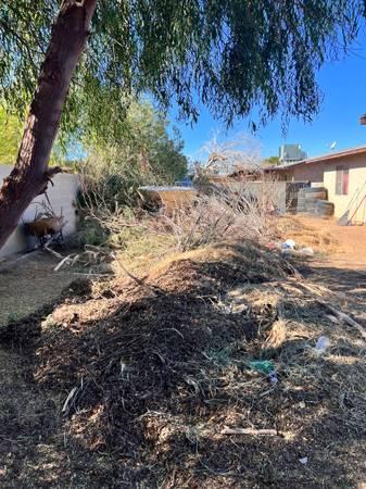 Arizona Hauling Waste Management- Junk Removal | Dumpster Rental