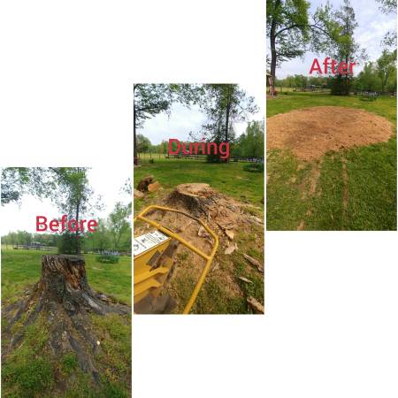 Fredericksburg STUMP GRINDING / REMOVAL No one beats our prices!