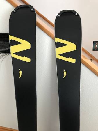 Downhill skis, bindings and ski bag.