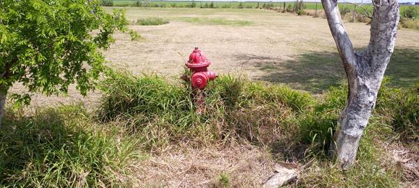 10 Acres Corner of Highway 77 and Holly Rd in Lyford, TX