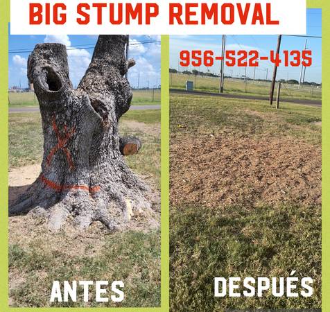 JUAN PALMAS ?? TRIMM ??PRUNING??STUMP??REMOVAL SERVICES??522-4135?