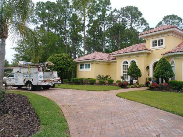 TREE REMOVAL Power washing, painting, home repair,