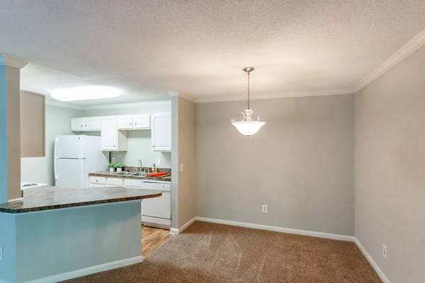 Stay warm in a cozy, spacious apartment! 3 bedroom, 2 bath!