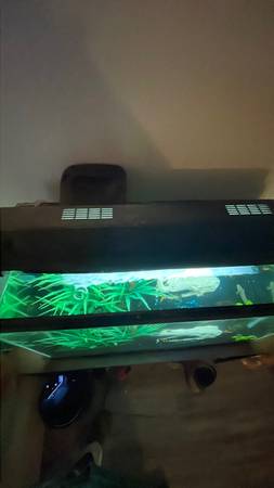 30 gallon fish tank with fish