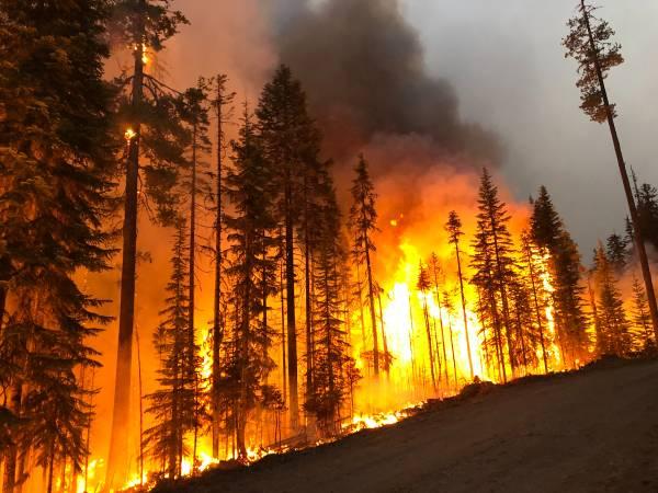 Wildland Firefighters, Get Ready for Summer Work