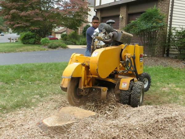 ??TREE CUTTING & LANDSCAPING SERVICE BY PEREZ??