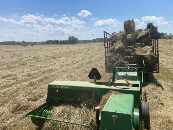 20000 small square bales