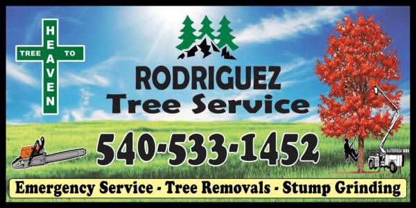 Rodriguez tree service