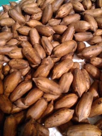 Pecans