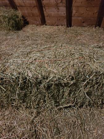 Small square bales of hay