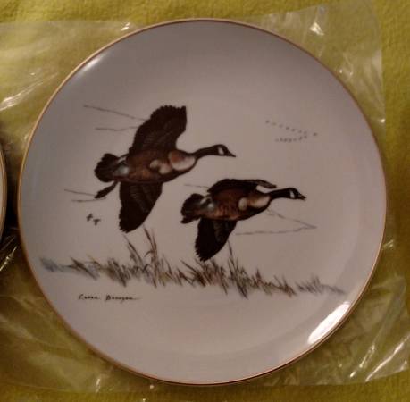 Set of 6 collectible Wildlife Plates with Case Clark Bronson MINT