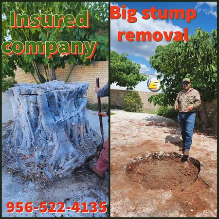 JUAN PALMAS ?? TRIMM ??PRUNING??STUMP??REMOVAL SERVICES??522-4135?