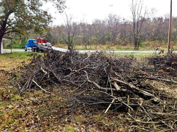 Land Clearing – Tree Trimming