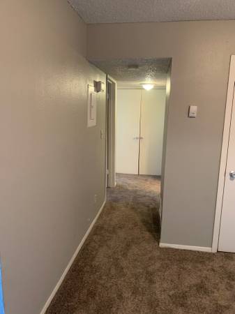 2 Bedroom 2 Full Bath Ready 2/24! #1025