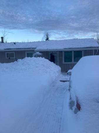 Roof Snow Removal (Licenced and insured)