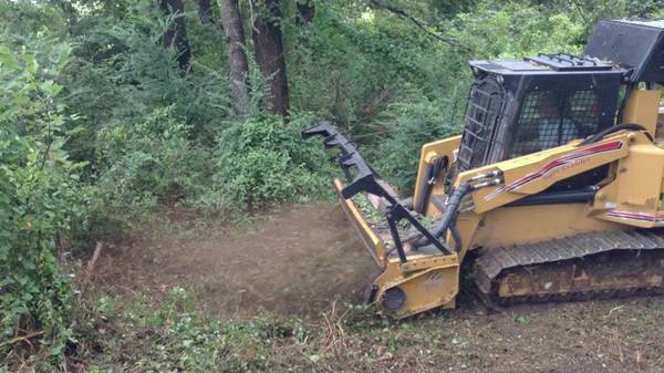 Land Clearing – Tree Trimming