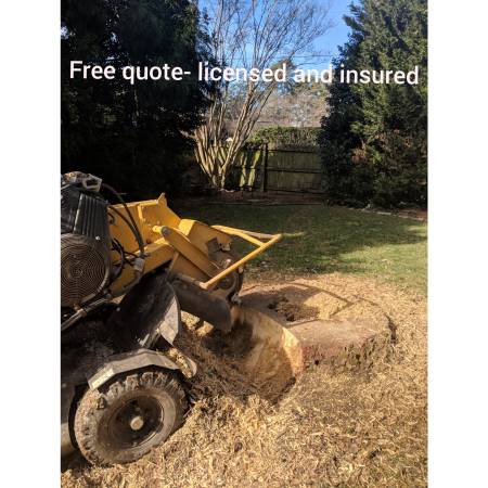 Fredericksburg STUMP GRINDING / REMOVAL No one beats our prices!