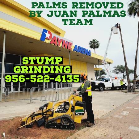 JUAN PALMAS ?? TRIMM ??PRUNING??STUMP??REMOVAL SERVICES??522-4135?