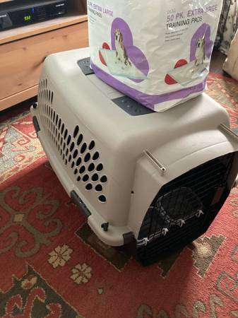 Small Airplane Safe Dog Crate