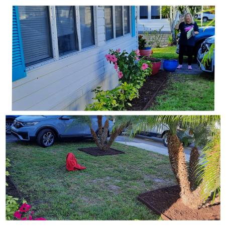 YARD CLEAN UP.. ROCK/MULCH INSTALL.LAWNCARE/WEEDS..HEDGE/TREE TRIMMING