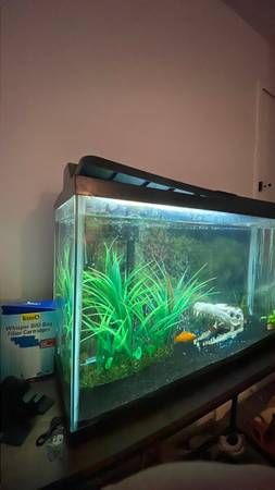 30 gallon fish tank with fish