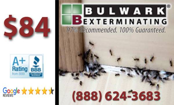 $84 Pest Control – Triple Barrier System – In Wall Treatment