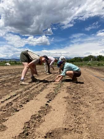 Harvest and Field Staff – Kilt Farm