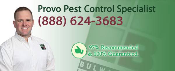 $79 Full Home Pest Control Treatment