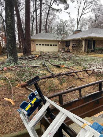 Storm Debris Removal