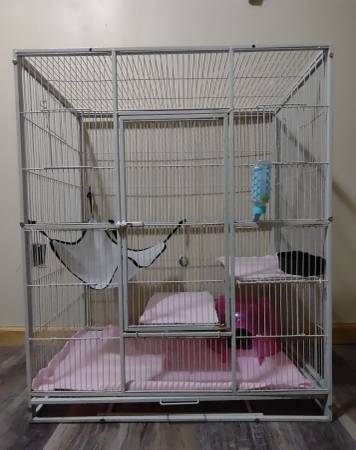 Small animal cage