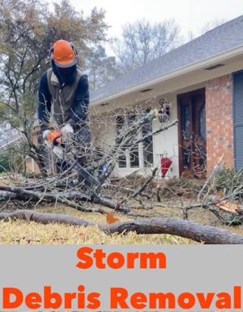 Storm Debris Removal