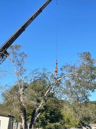 topz tree service