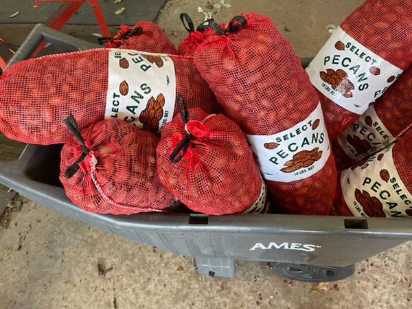 PECANS